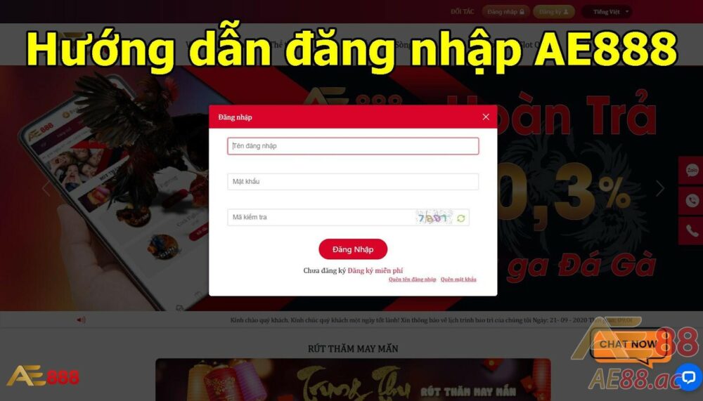 Anh em đăng nhập vào app AE88 và trải nghiệm game