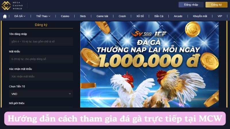 Hướng dẫn cách tham gia đá gà trực tiếp tại MCW