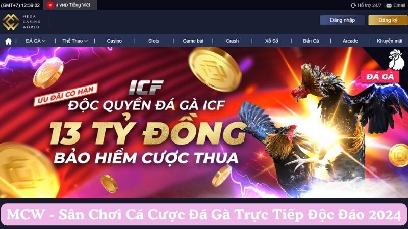 MCW nền tảng đá gà trực tiếp độc đáo